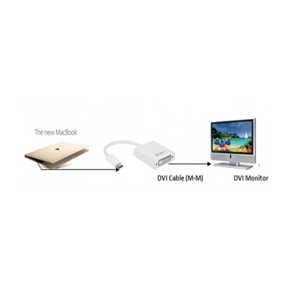 USB-C 3.1 to DVI F Converter cable