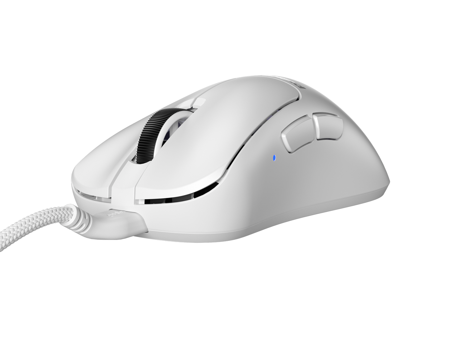 Xlite V3 Wired - Medium Size - White